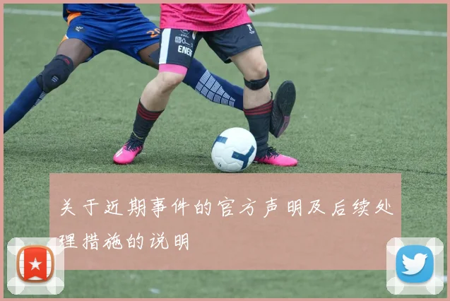关于近期事件的官方声明及后续处理措施的说明