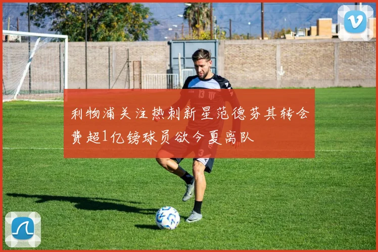 利物浦关注热刺新星范德芬其转会费超1亿镑球员欲今夏离队